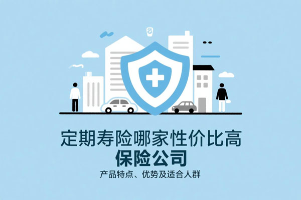 定期寿险哪家保险公司的性价比高
