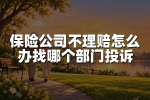 保险公司不理赔怎么办找哪个部门投诉