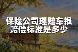 保险公司理赔车损赔偿标准是多少