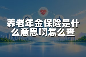 养老年金保险是什么意思啊怎么查
