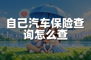 自己汽车保险查询怎么查