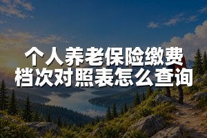 个人养老保险缴费档次对照表怎么查询