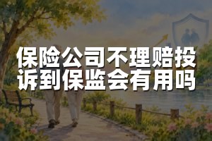 保险公司不理赔投诉到保监会有用吗
