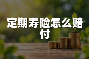 定期寿险怎么赔付