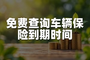 免费查询车辆保险到期时间