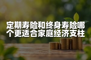 定期寿险和终身寿险哪个更适合家庭经济支柱