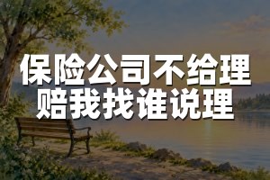 保险公司不给理赔我找谁说理