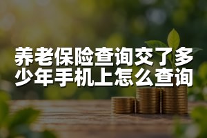 养老保险查询交了多少年手机上怎么查询