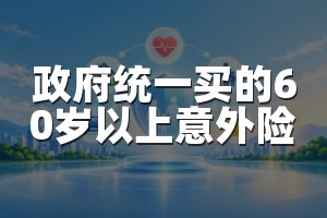 政府统一买的60岁以上意外险