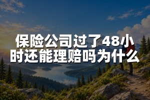 保险公司过了48小时还能理赔吗为什么