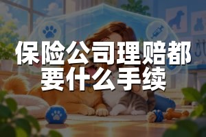 保险公司理赔都要什么手续