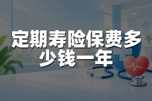 定期寿险保费多少钱一年