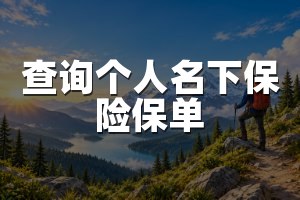 查询个人名下保险保单