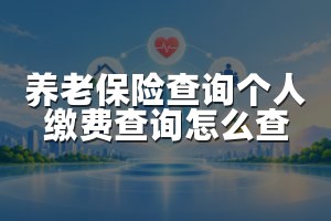养老保险查询个人缴费查询怎么查