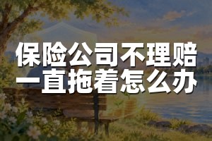 保险公司不理赔一直拖着怎么办