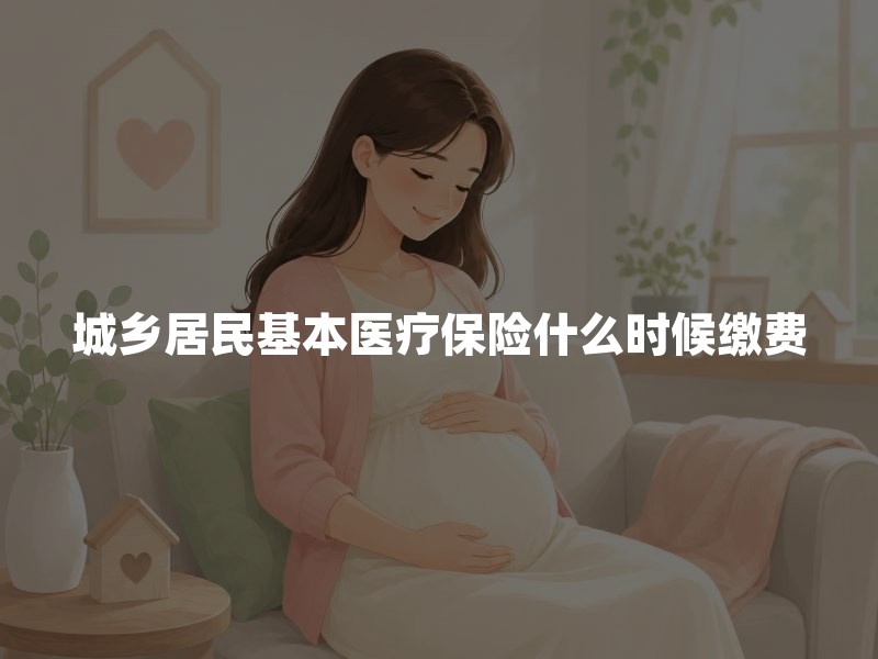 城乡居民基本医疗保险什么时候缴费？集中缴费期、待遇生效与断缴等待期说明