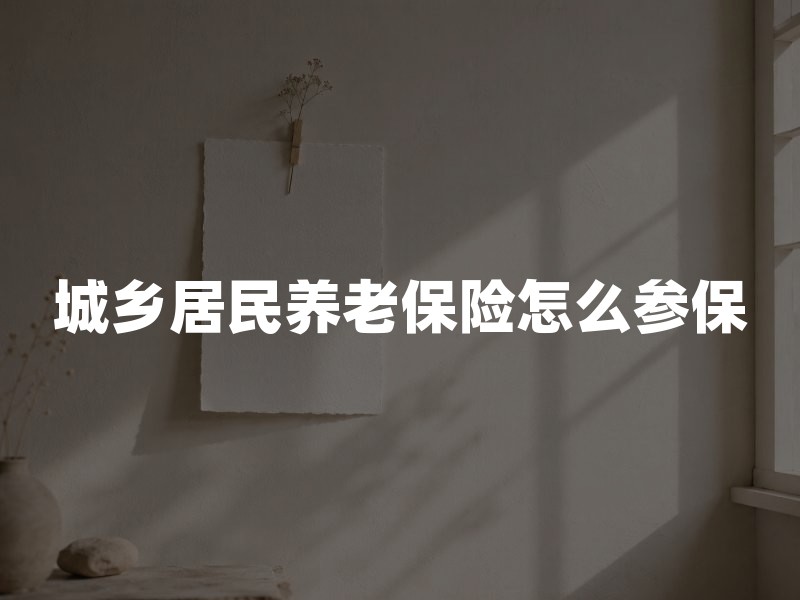 城乡居民养老保险怎么参保、缴费和领待遇？一篇看懂规则与误区