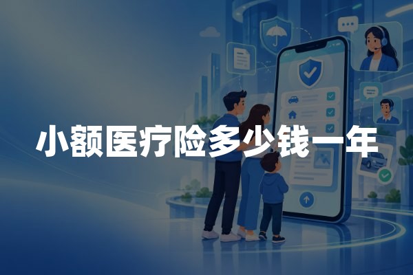 小额医疗险多少钱一年？价格参考、保障差异及投保建议